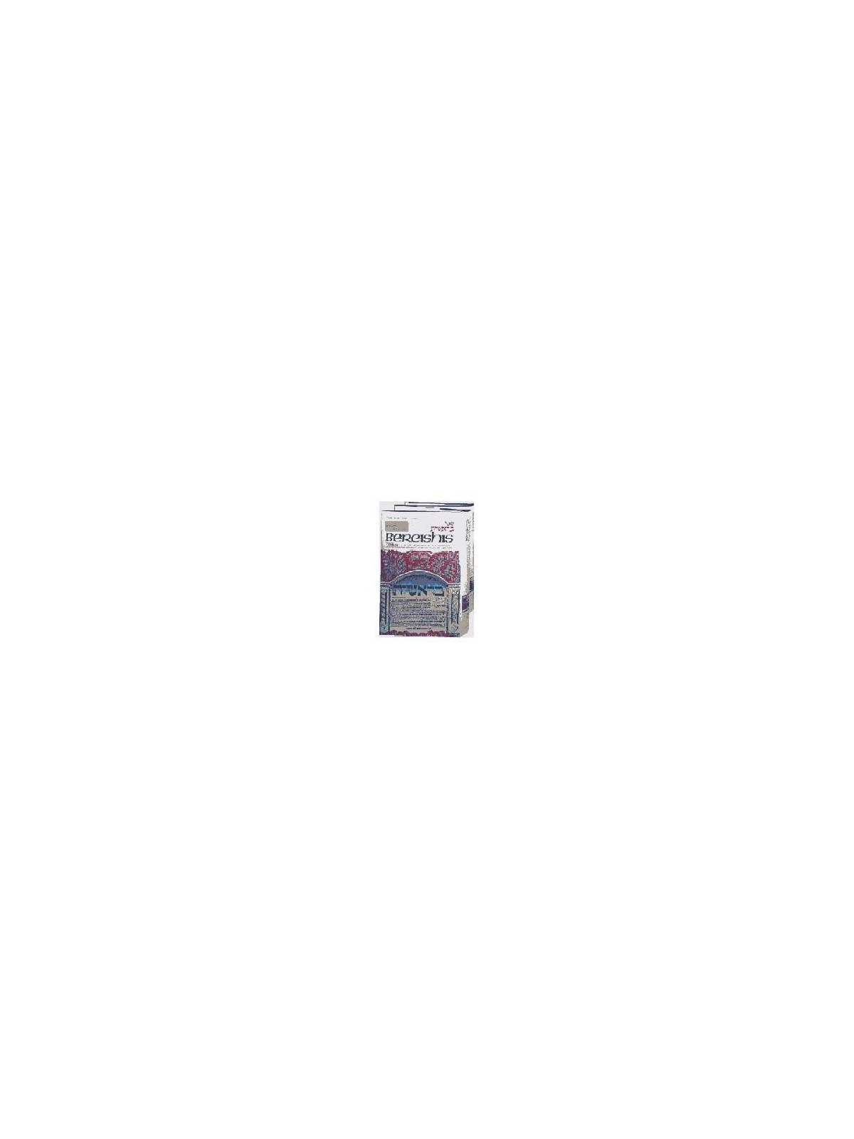 Artscroll Tanach Series: Bereishis/Genesis 2 Volum | Books | Judaica